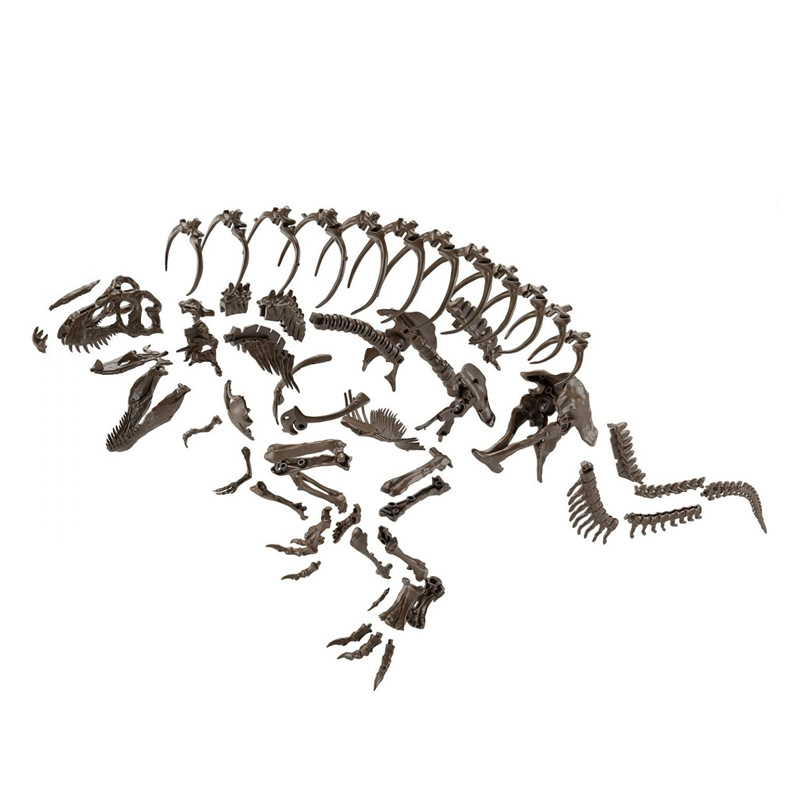 Fossile Collection 1/32 Dinosaure Imaginary Skeleton Tyrannosaurus